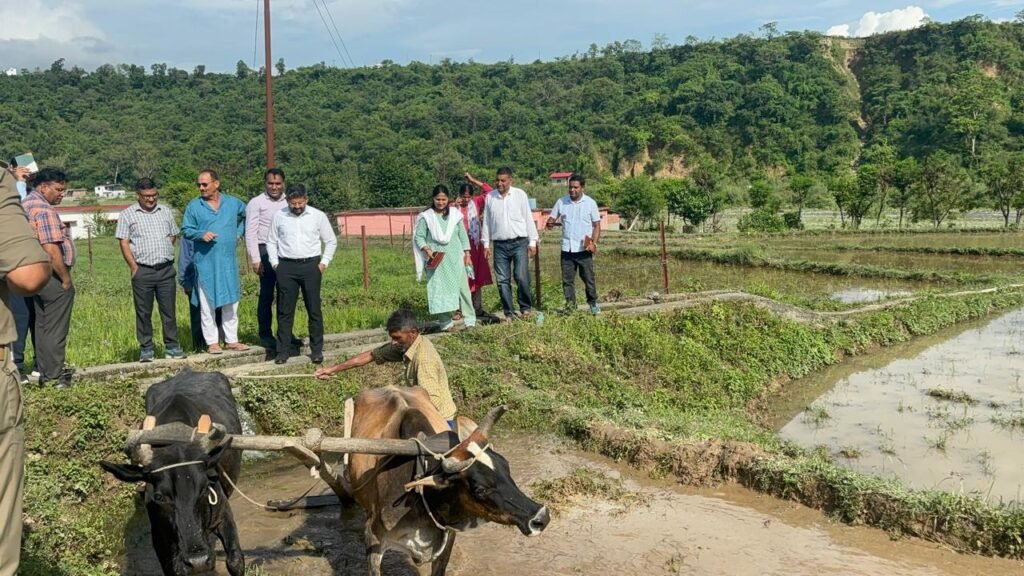 मुख्यमंत्री के निर्देशन पर जिला प्रशासन ने विलुप्त दून बासमती को दिलाई नई पहचान
